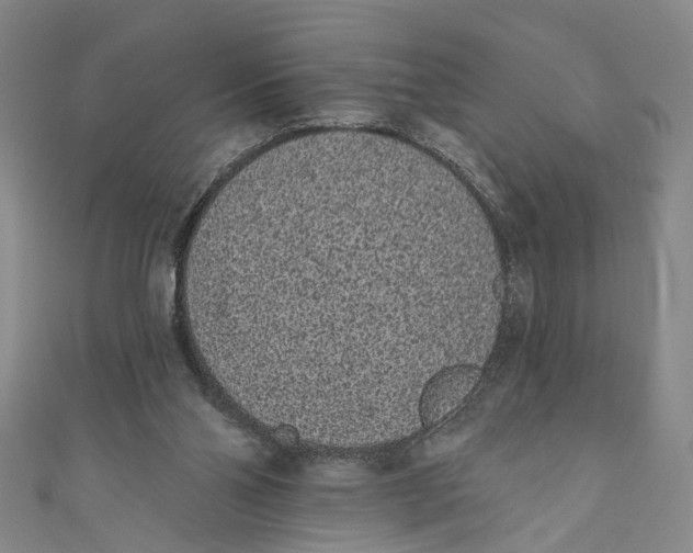 X0000110960110200907101336