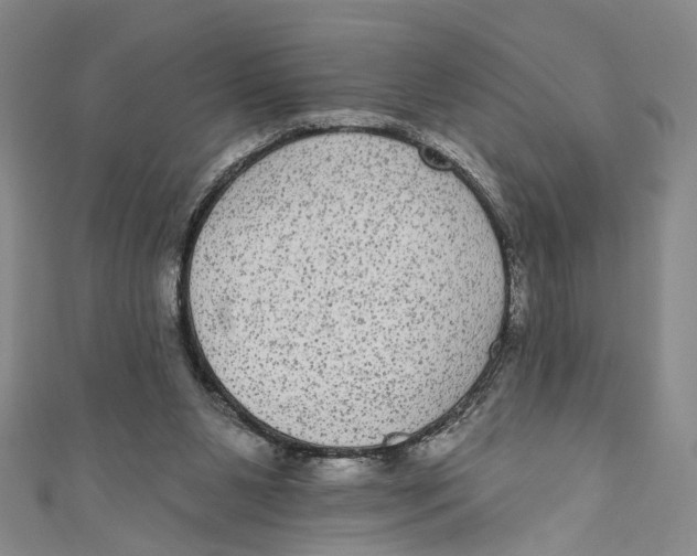 X0000110960111200907101336