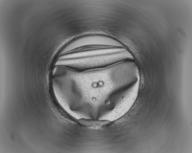 X0000110960112200907101336