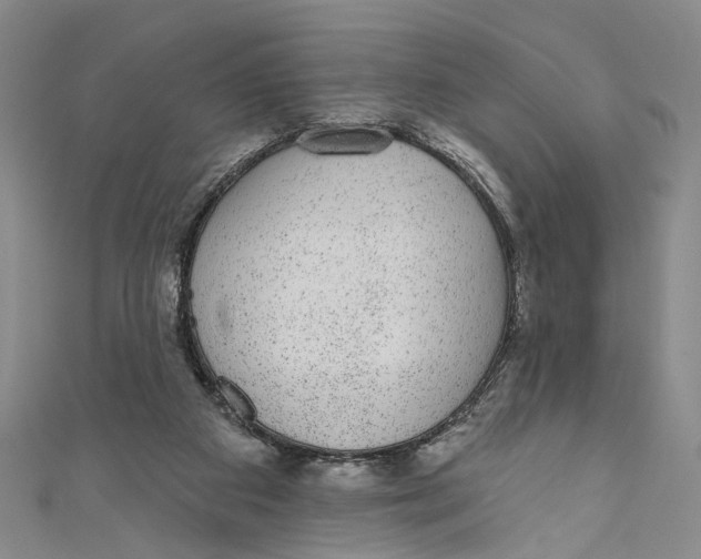 X0000110960113200907101336