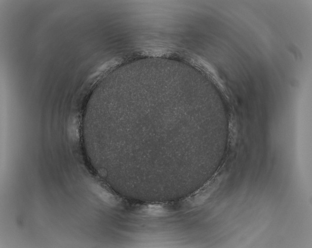 X0000110960114200907101336