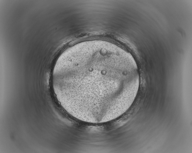 X0000110960115200907101336