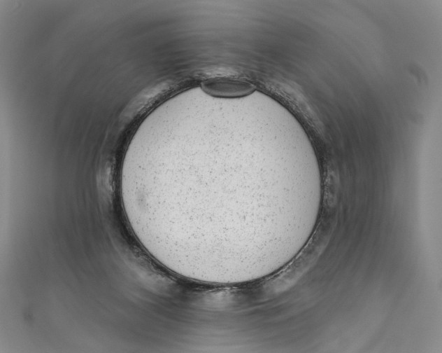 X0000110960116200907101336