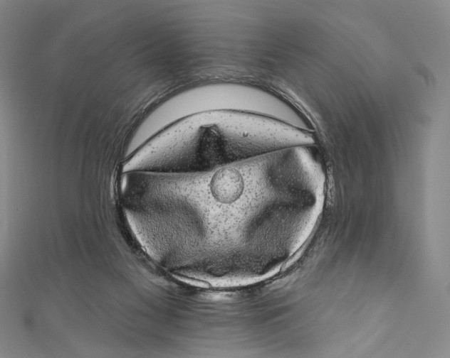 X0000110960117200907101336