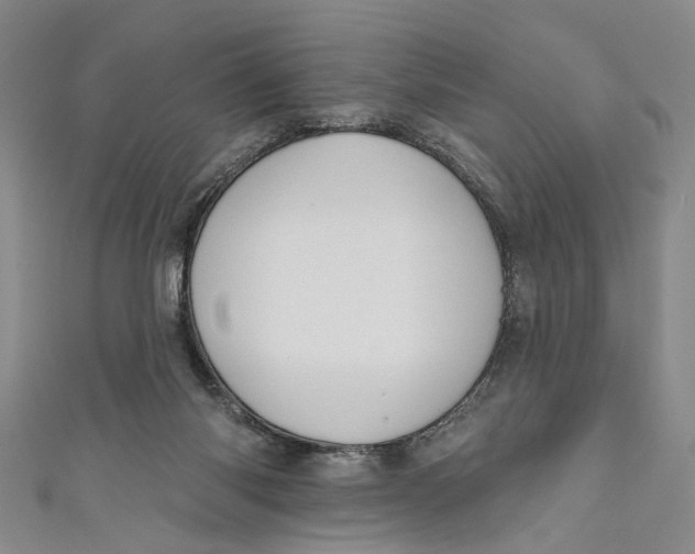 X0000110960118200907101336