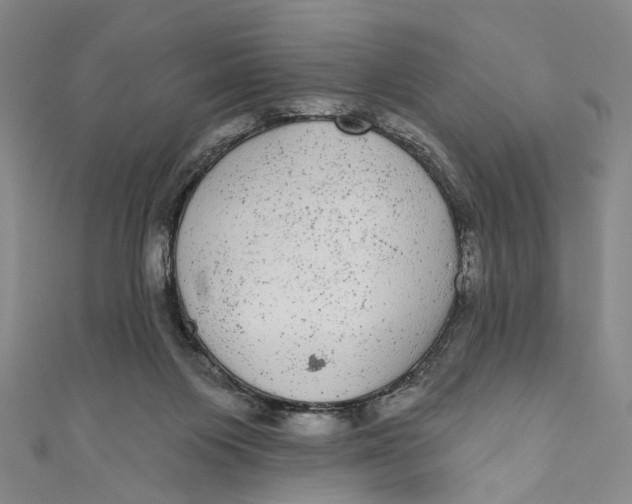 X0000110960119200907101336