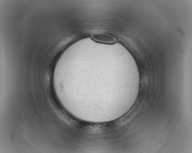 X0000110960120200907101336