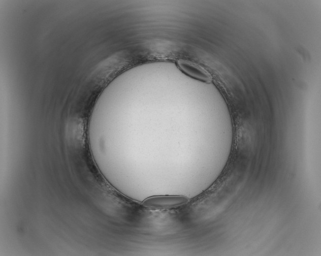 X0000110960121200907101336