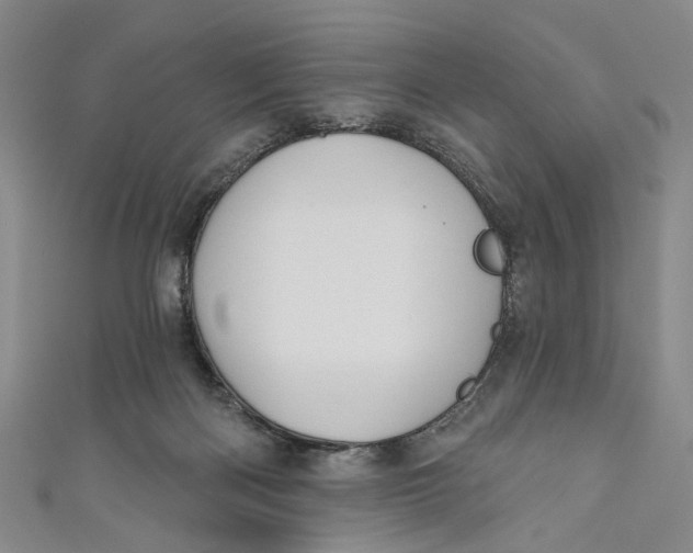 X0000110960122200907101336