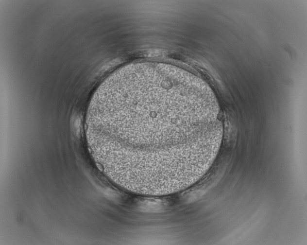 X0000110960123200907101336