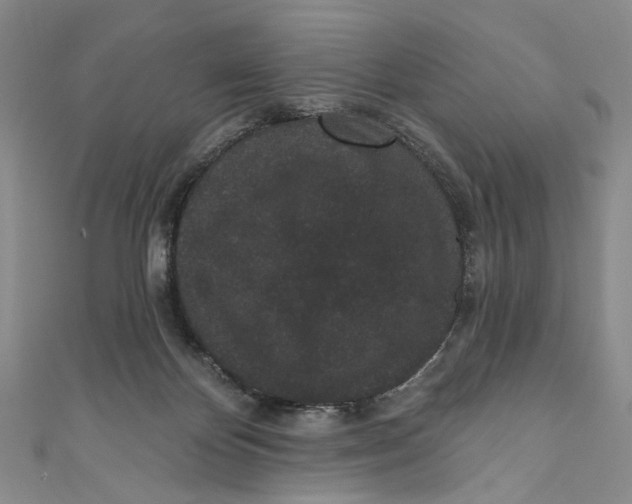 X0000110960124200907101336