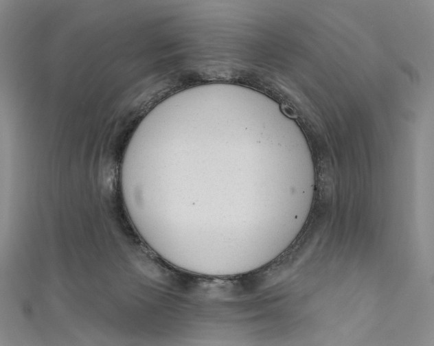 X0000110960125200907101336