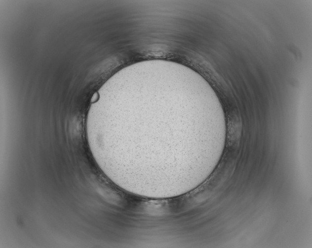 X0000110960126200907101336