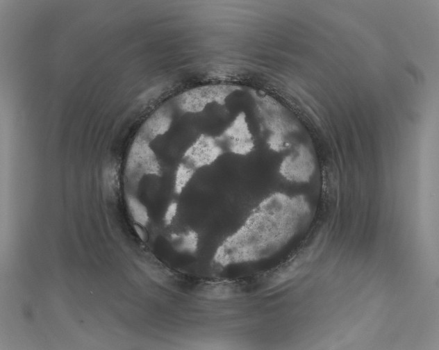 X0000110960127200907101336