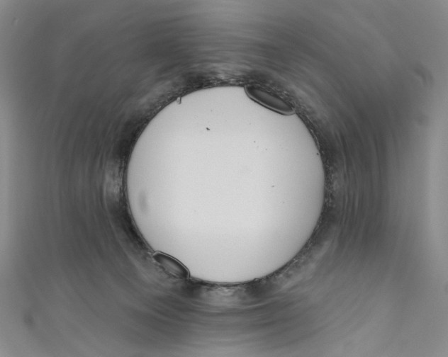 X0000110960129200907101336