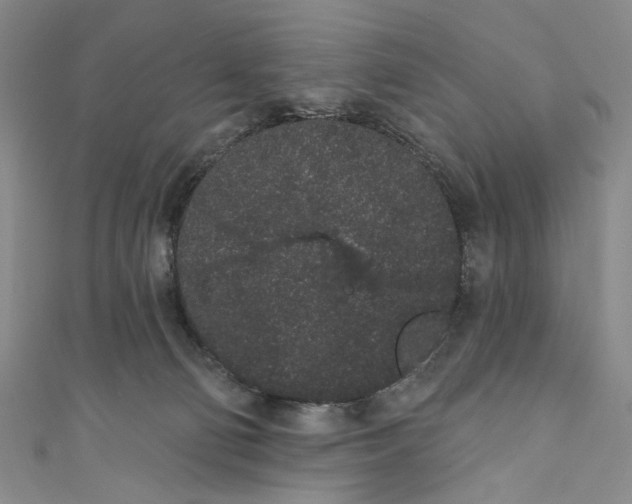 X0000110960130200907101336