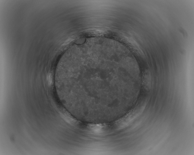 X0000110960131200907101336