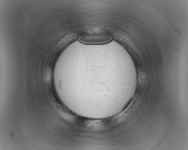 X0000110960132200907101336