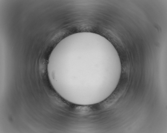 X0000110960133200907101336