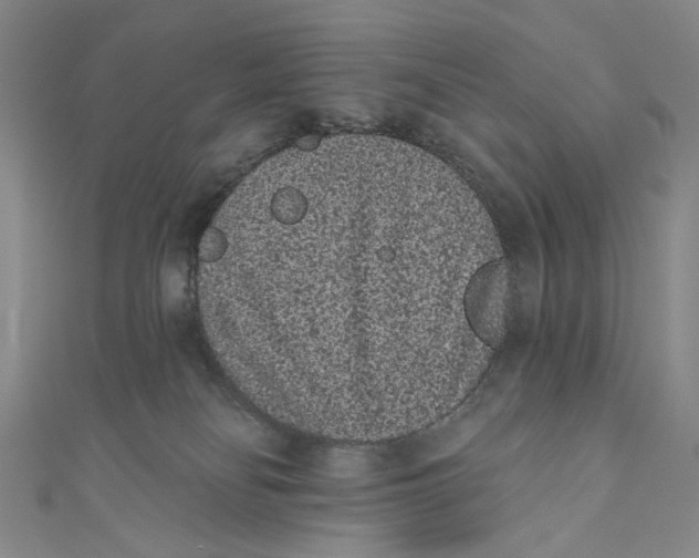 X0000110960134200907101336