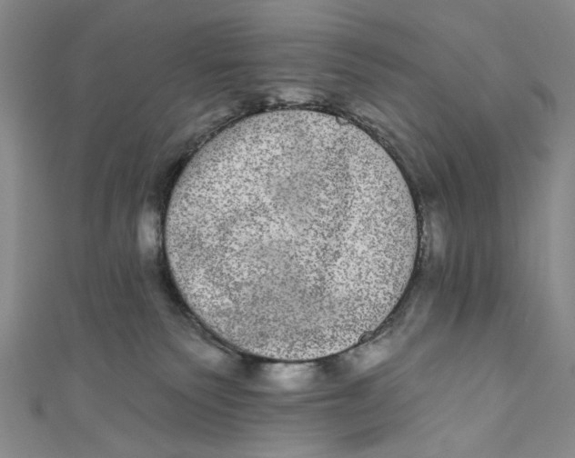 X0000110960135200907101336