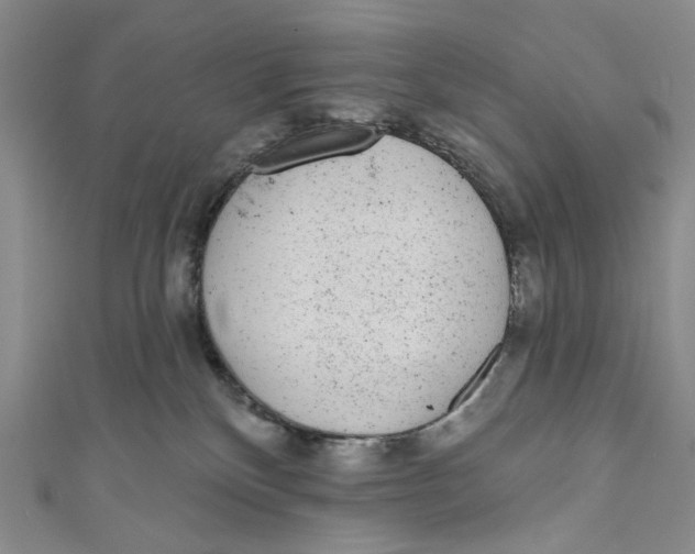 X0000110960136200907101336