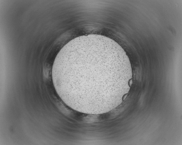 X0000110960138200907101336