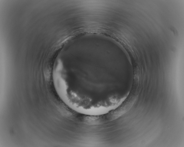 X0000110960139200907101336