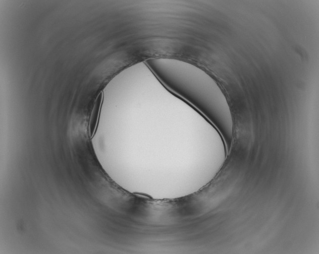 X0000110960141200907101335