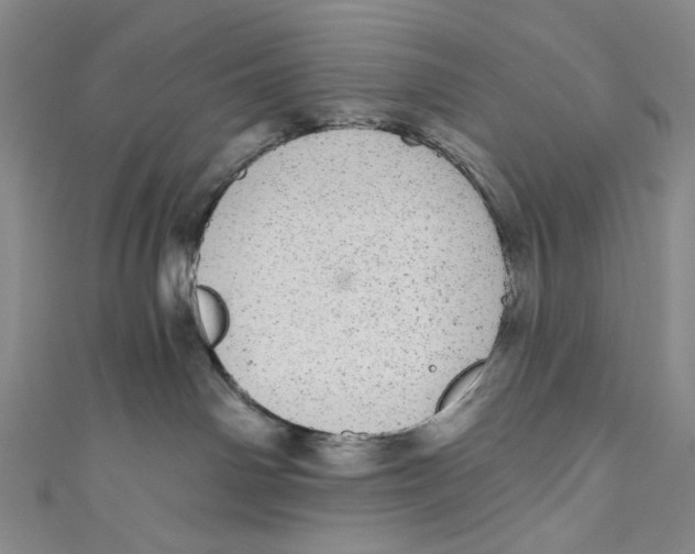 X0000110960142200907101335