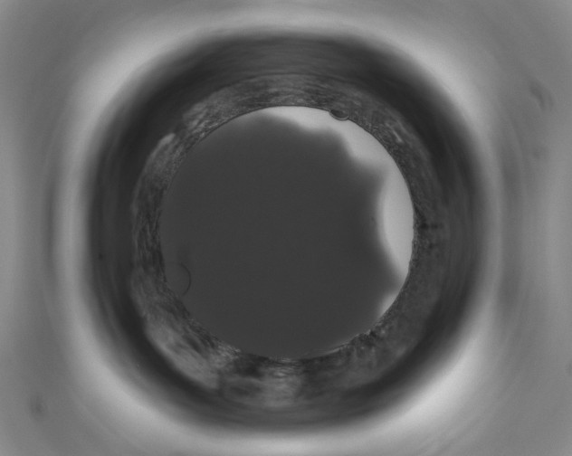 X0000110960143200907101335