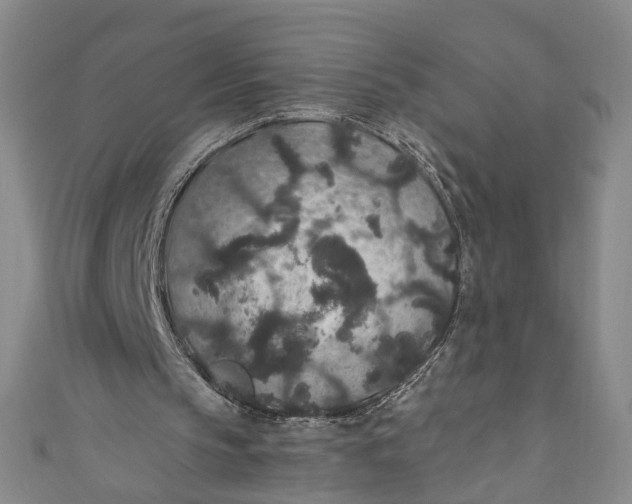 X0000110960145200907101335