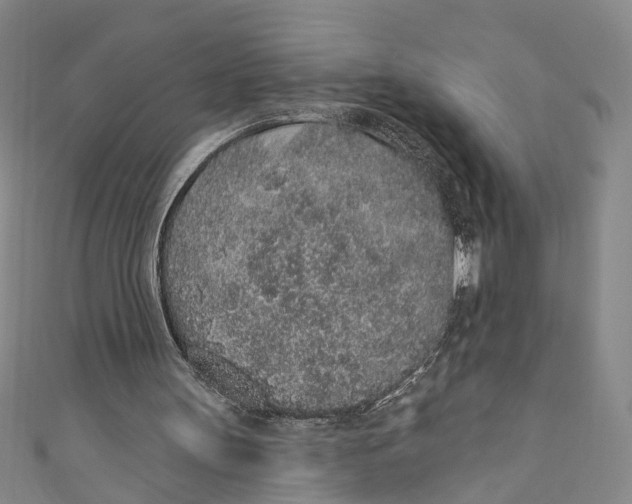 X0000110960147200907101335