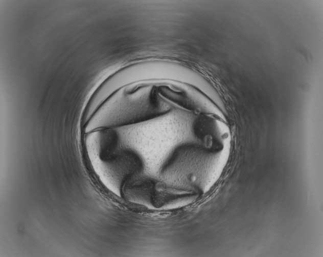 X0000110960148200907101335