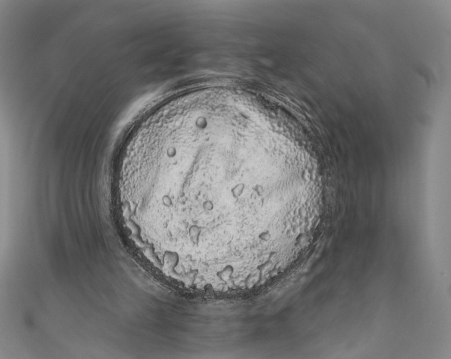 X0000110960149200907101335