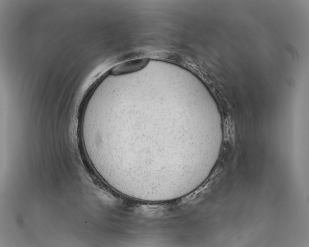 X0000110960150200907101335