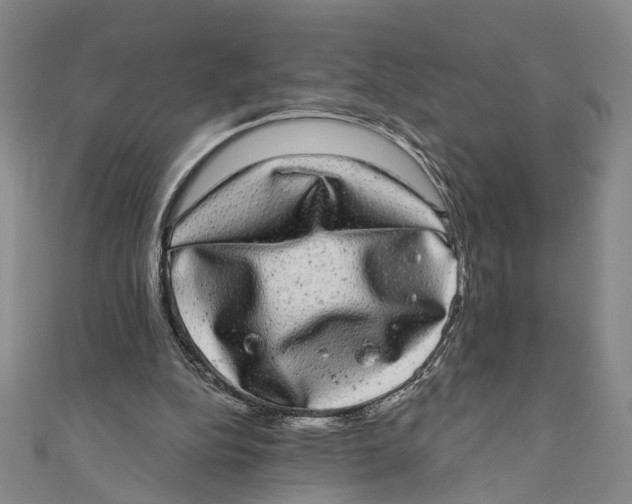 X0000110960152200907101335