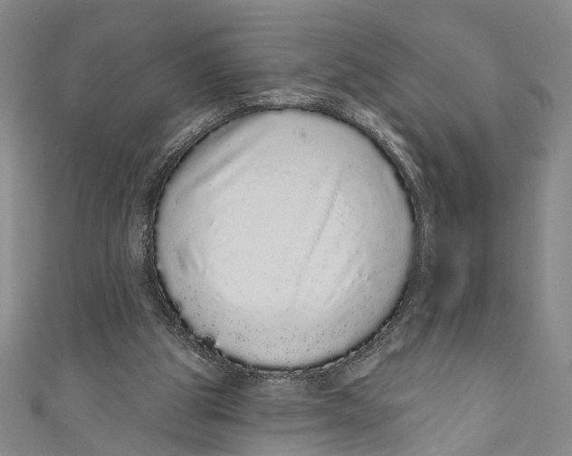 X0000110960153200907101335