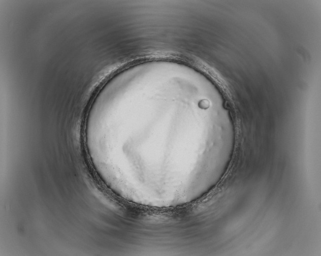 X0000110960155200907101335