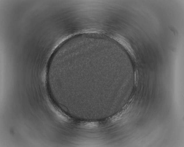 X0000110960156200907101335