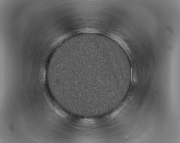 X0000110960157200907101335