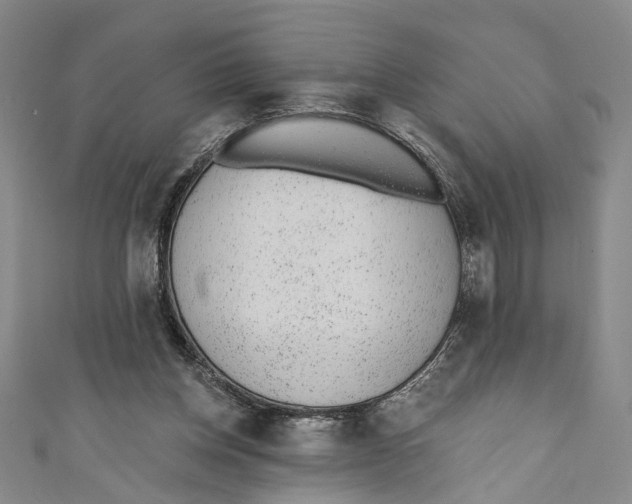 X0000110960158200907101335