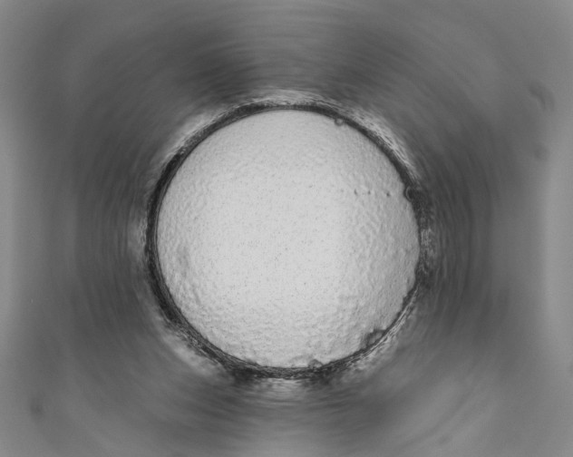 X0000110960159200907101335