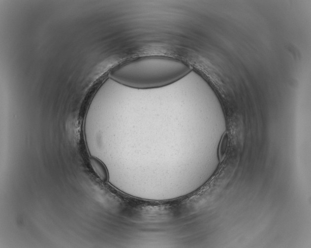 X0000110960160200907101335