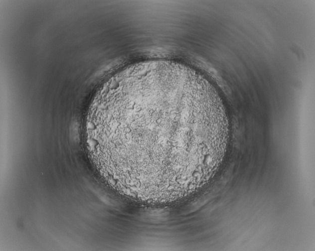 X0000110960161200907101335