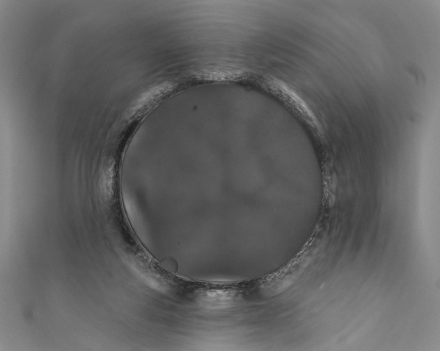 X0000110960163200907101335