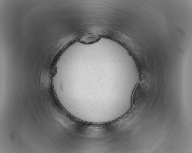 X0000110960164200907101335