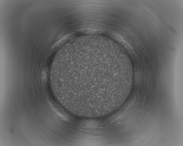 X0000110960165200907101335