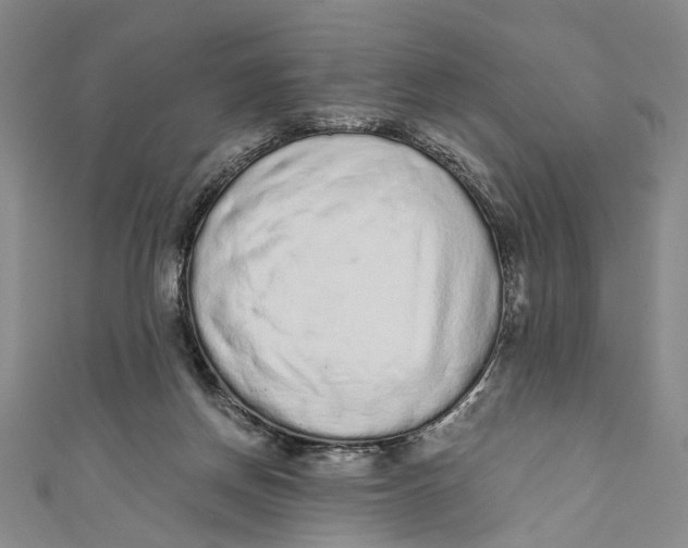 X0000110960166200907101335