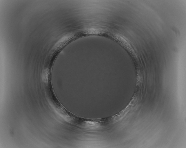 X0000110960167200907101335